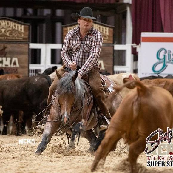 Meet your Posher, Stuart - Picture 1 of 1